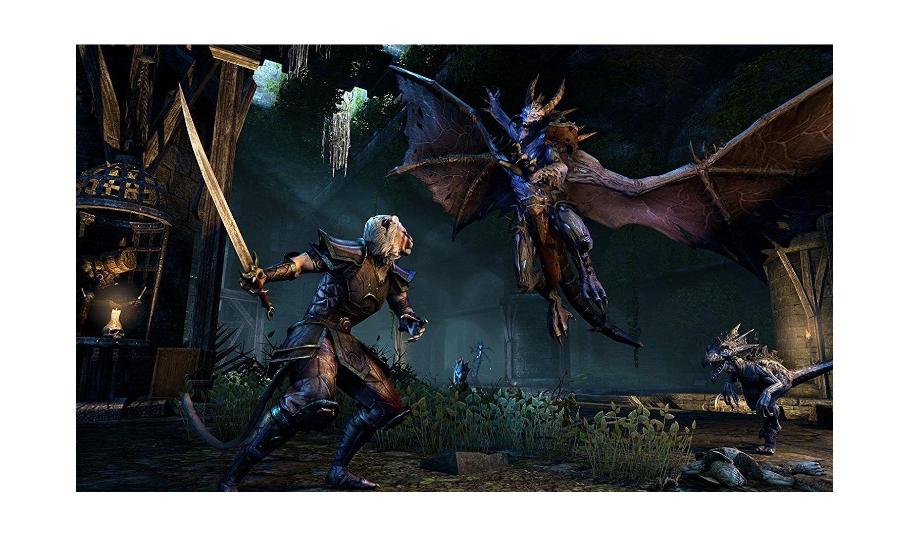 Elder Scrolls Online: Gold Edition – Playstation 4 Game