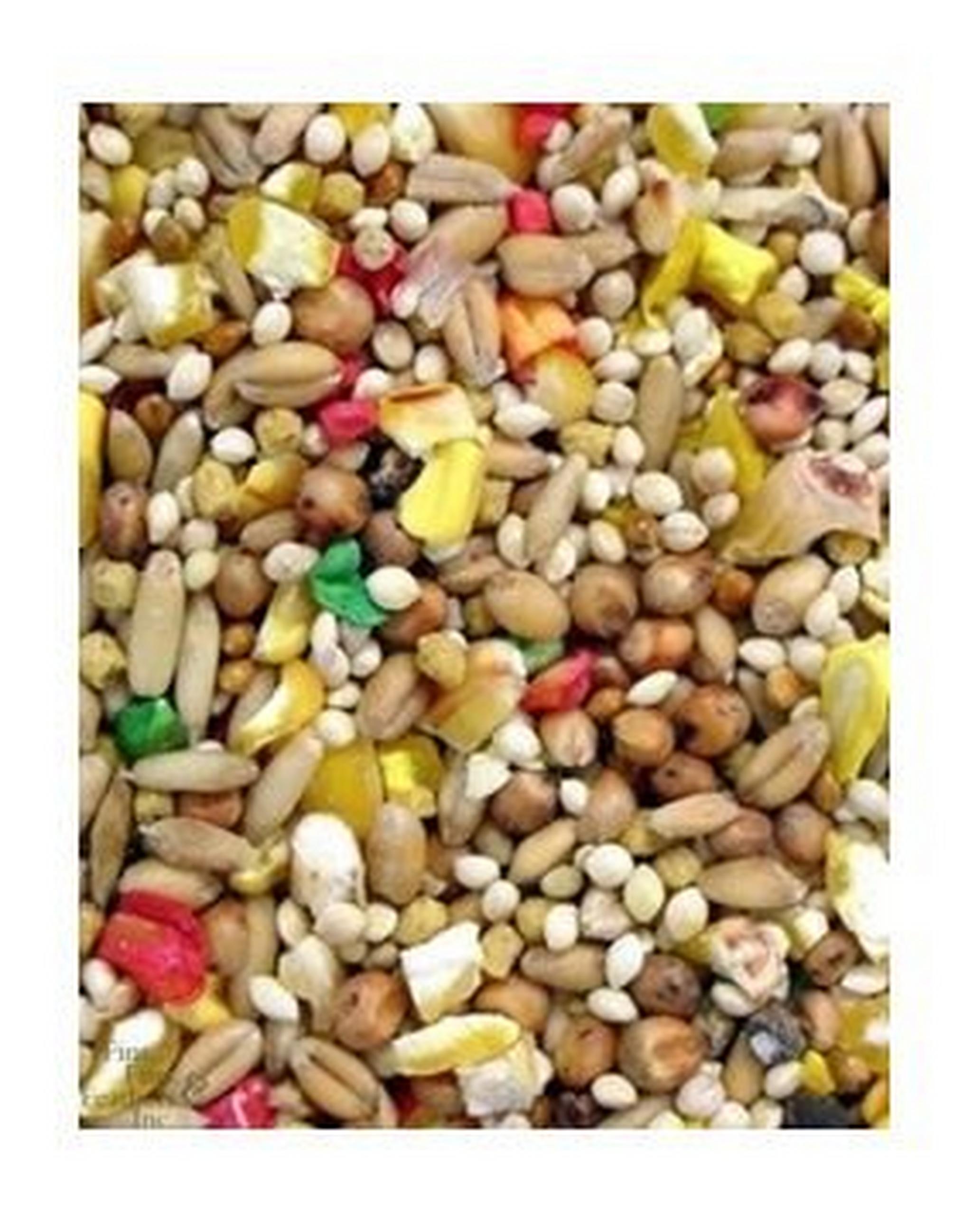 طعام الحبوب فيتا للببغاء من هيجينز - ١,٣٦ كيلو غرام