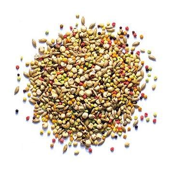 Higgins Vita Seed Conure & Lovebird Food - 2.5 lbs.