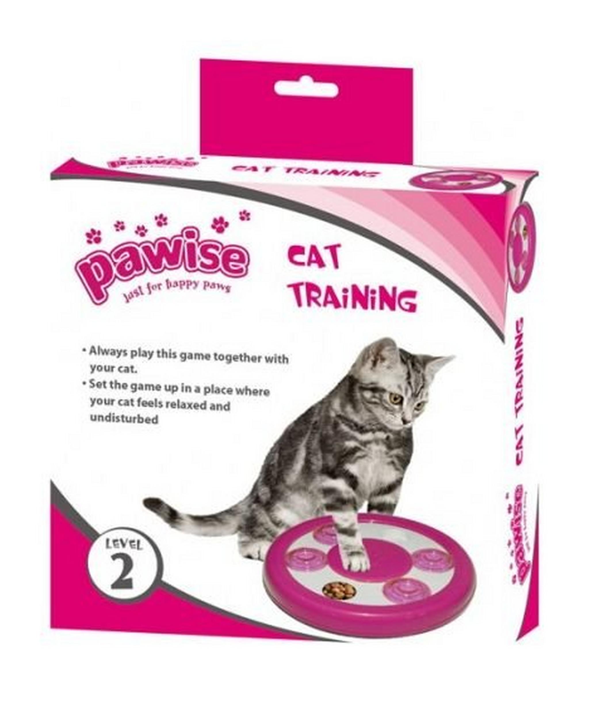 Pawise Cat Puzzle Toy