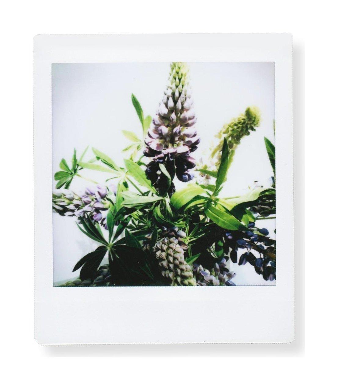 Instax Square Instant Film - 10 Exposures