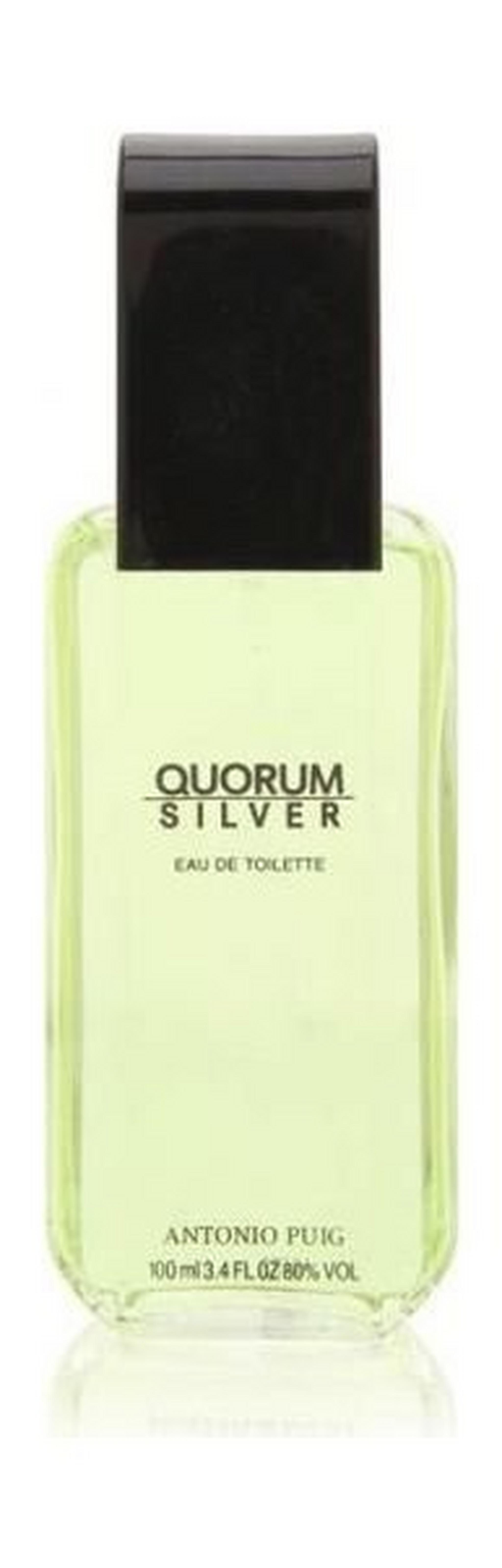 Quorum Silver 100ml Mens Perfume Eau de Toilette