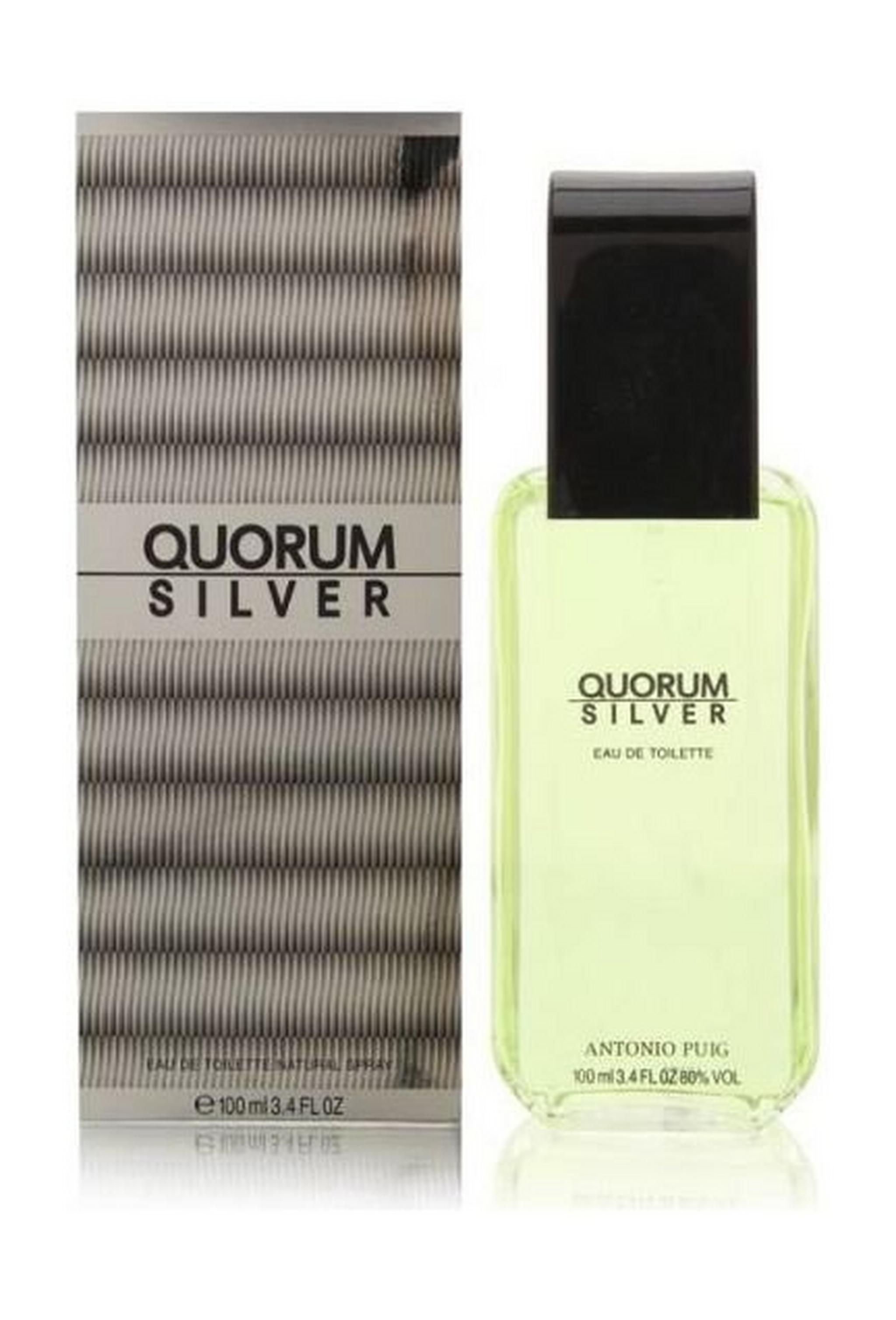 Quorum Silver 100ml Mens Perfume Eau de Toilette
