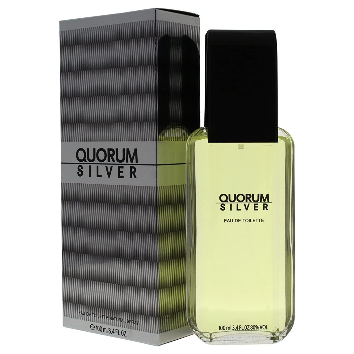 Quorum Silver 100ml Mens Perfume Eau de Toilette