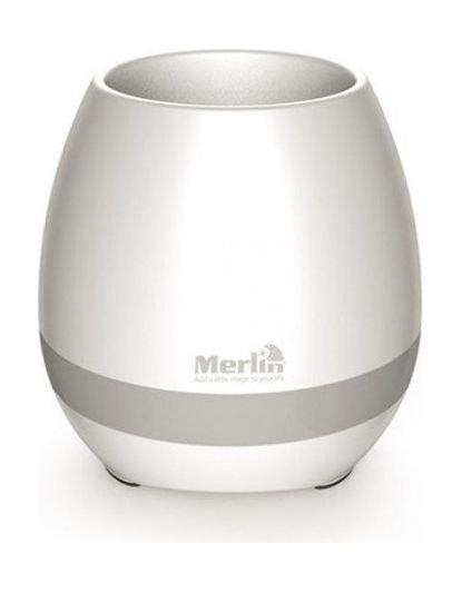Merlin Musical Plant - 93637