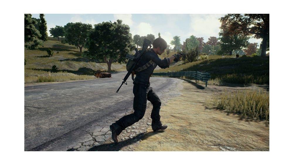 Playerunknown's Battlegrounds: PlayStation 4 Game