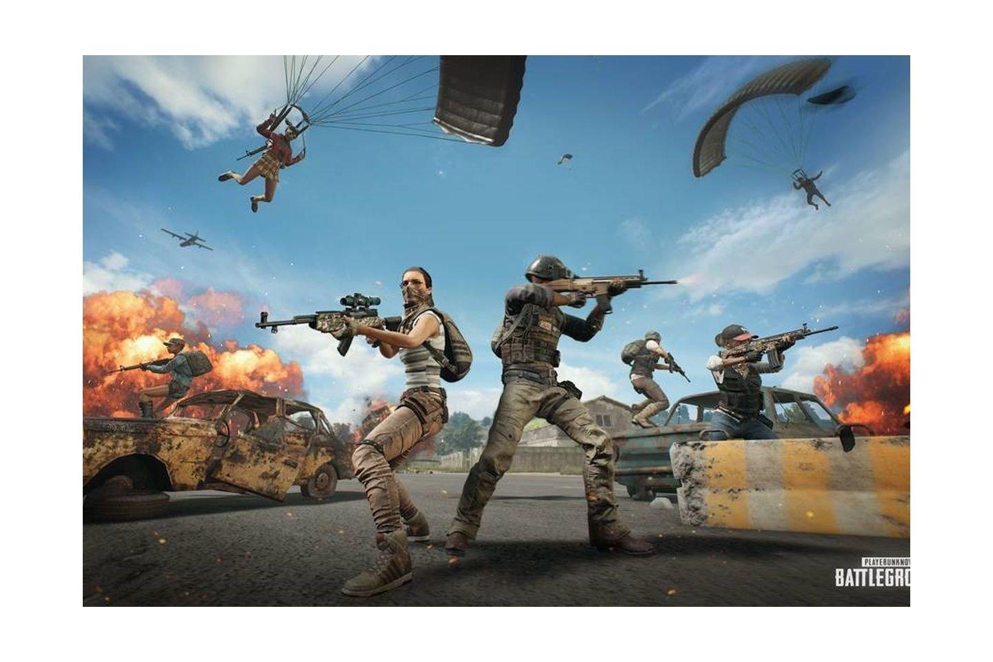 Playerunknown's Battlegrounds: PlayStation 4 Game
