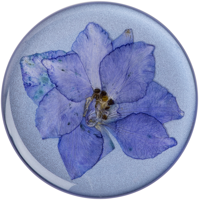 مقبض وحامل لاصق للهواتف الذكية والأجهزة اللوحية من بوب سوكيت(801240)  –  زهرة لاركسبر البنفسجية