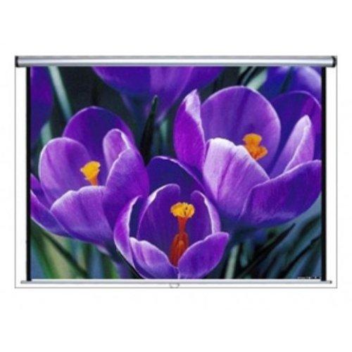 Anchor Screen Projector ANSWM150 Price in Kuwait Xcite