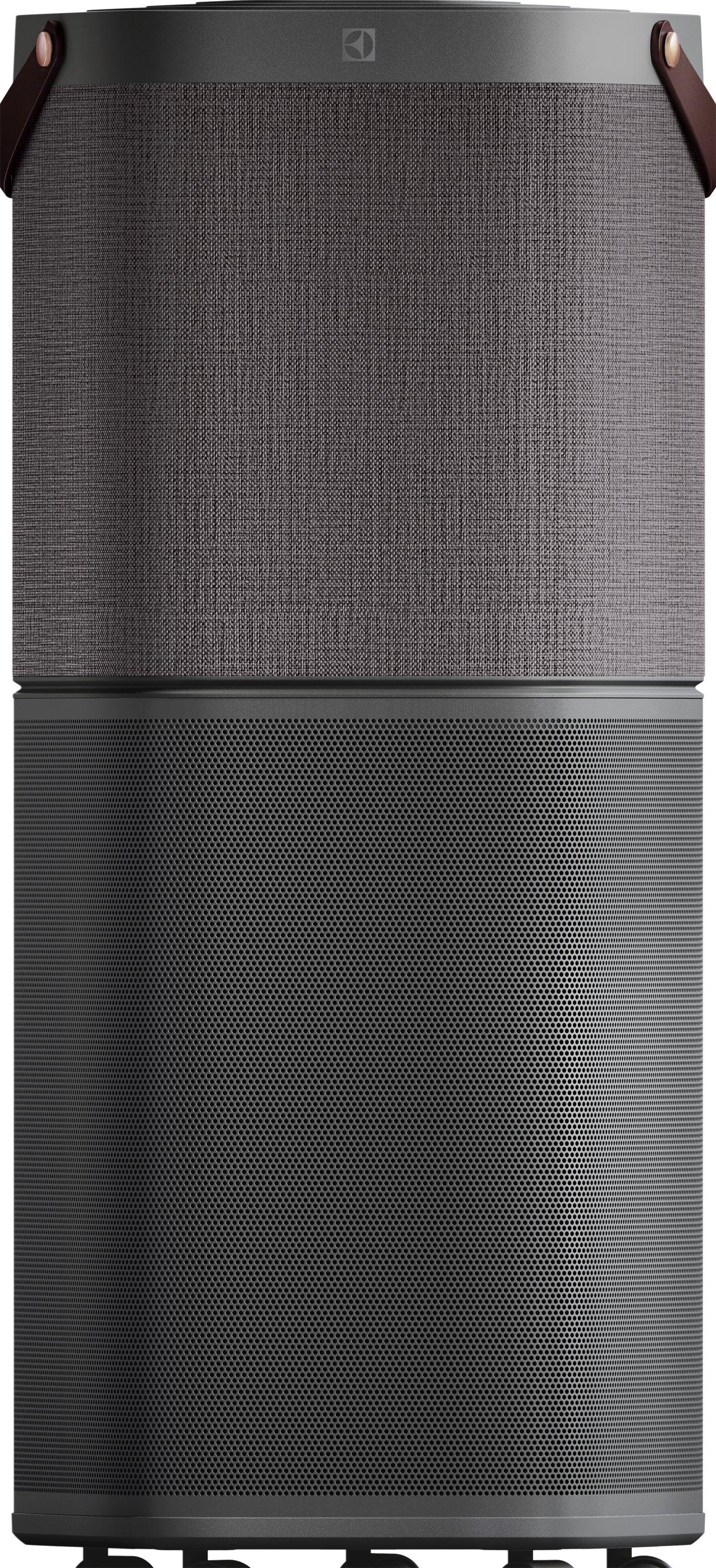 Electrolux Air Purifier (PA91-606DG)