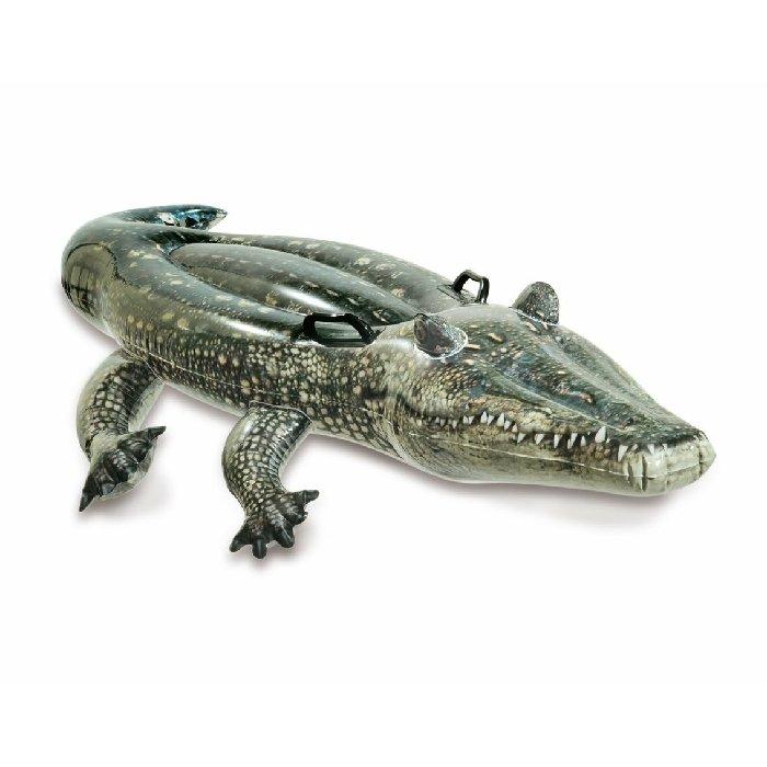 Buy Intex inflatable realistic gator in Kuwait