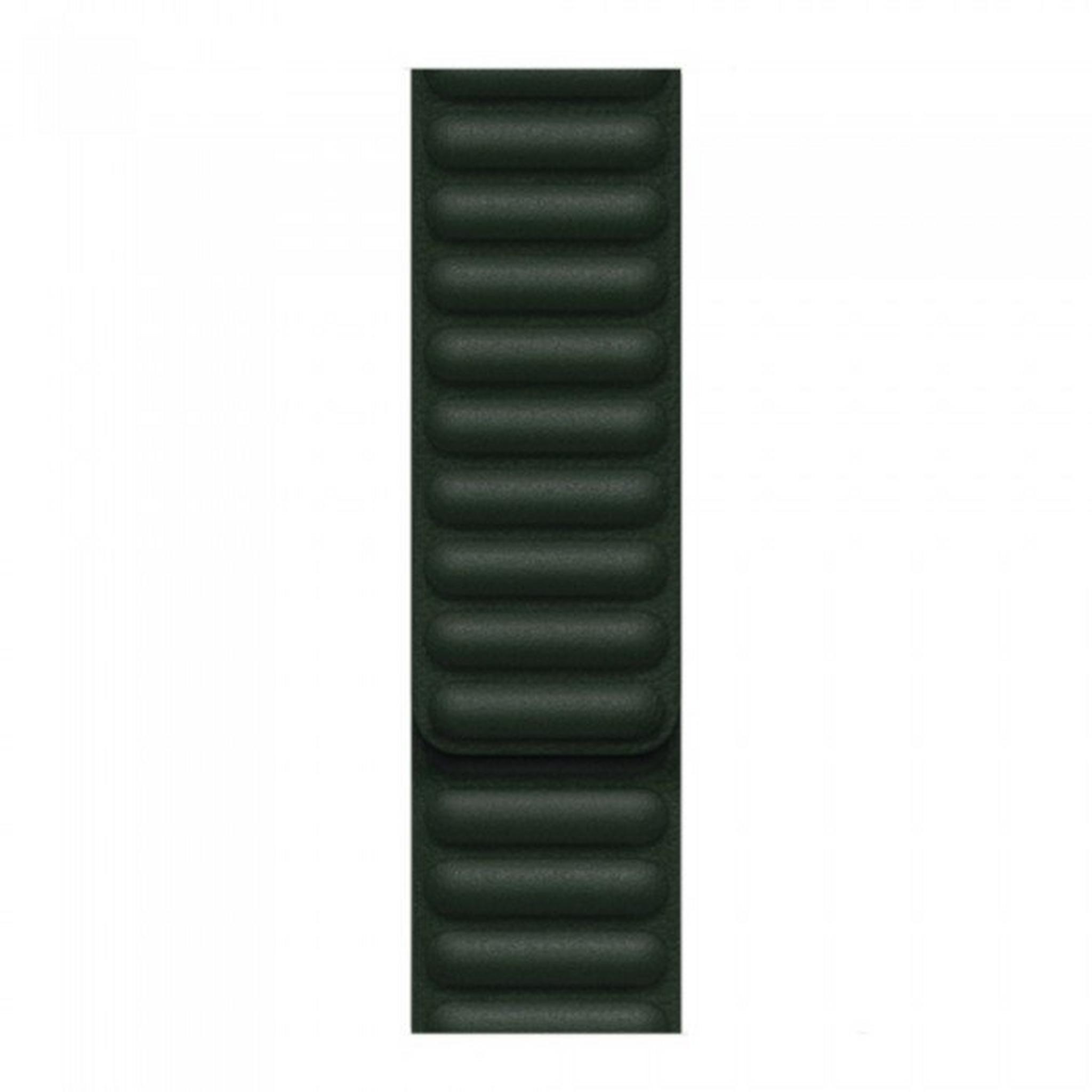 Apple Leather Link Bracelet 41mm - Sequoia Green M/L
