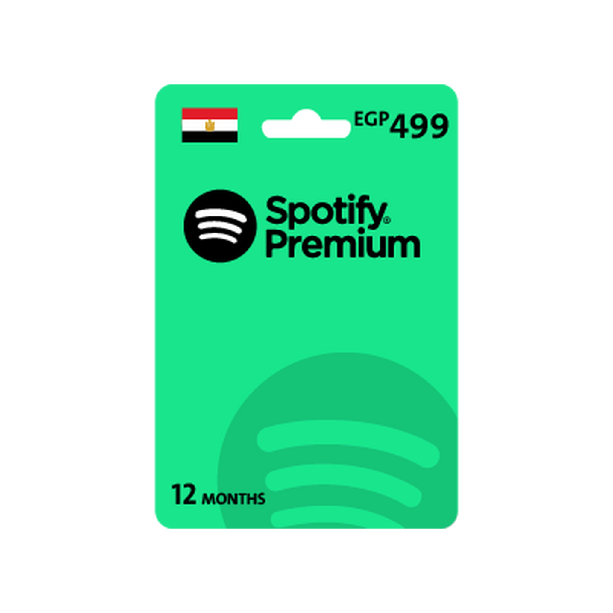 Spotify Premium 12 Month Subscription (Egypt Store)