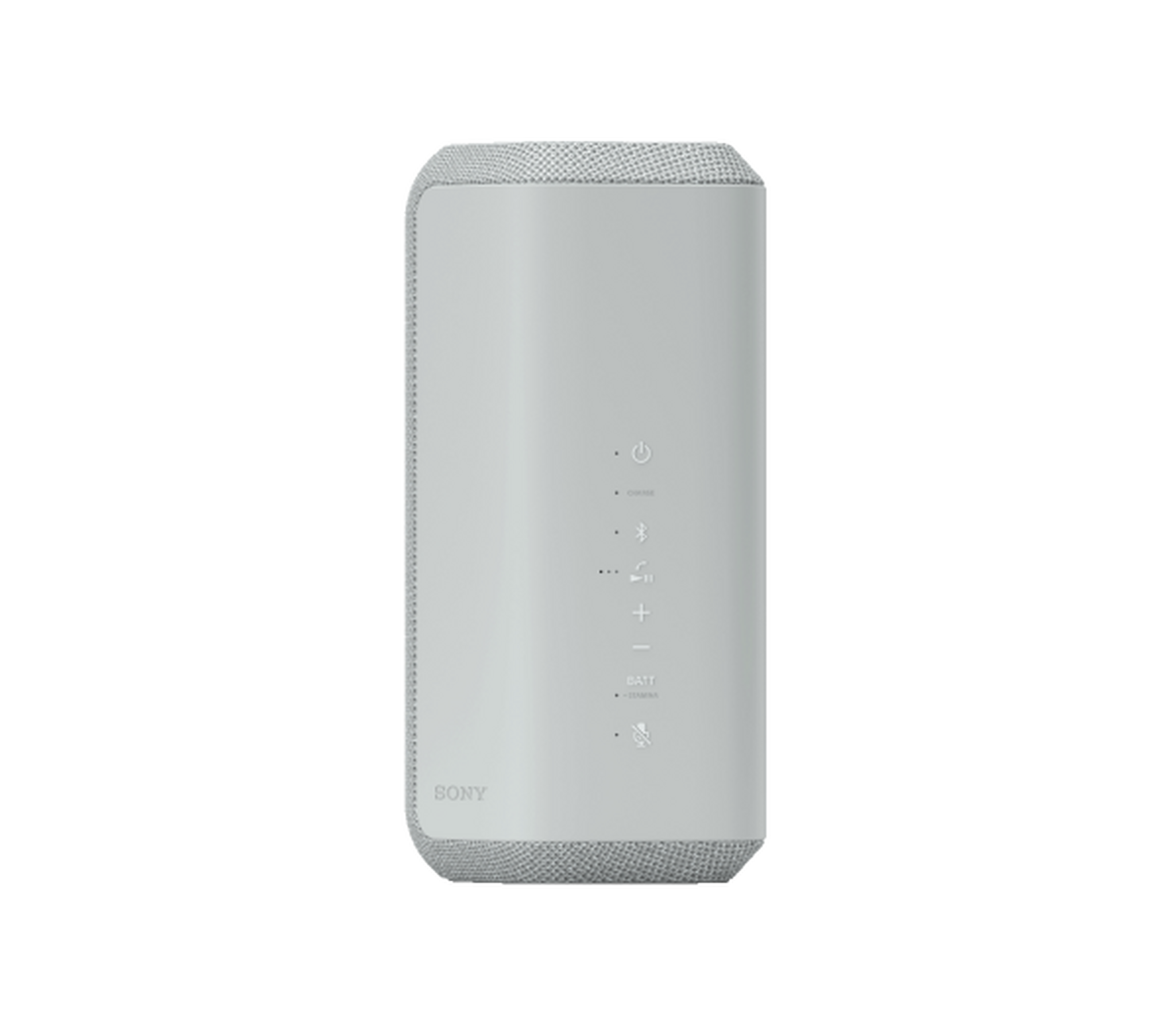 Sony Portable Bluetooth Speaker - Grey