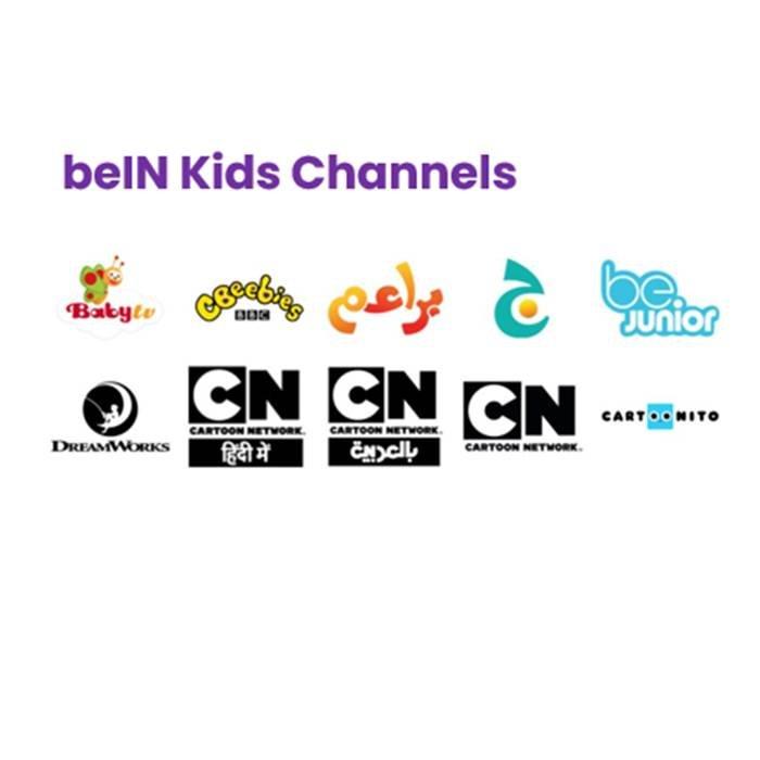 Premium 12 Months Subscription+ BeIN 4K TV Receiver