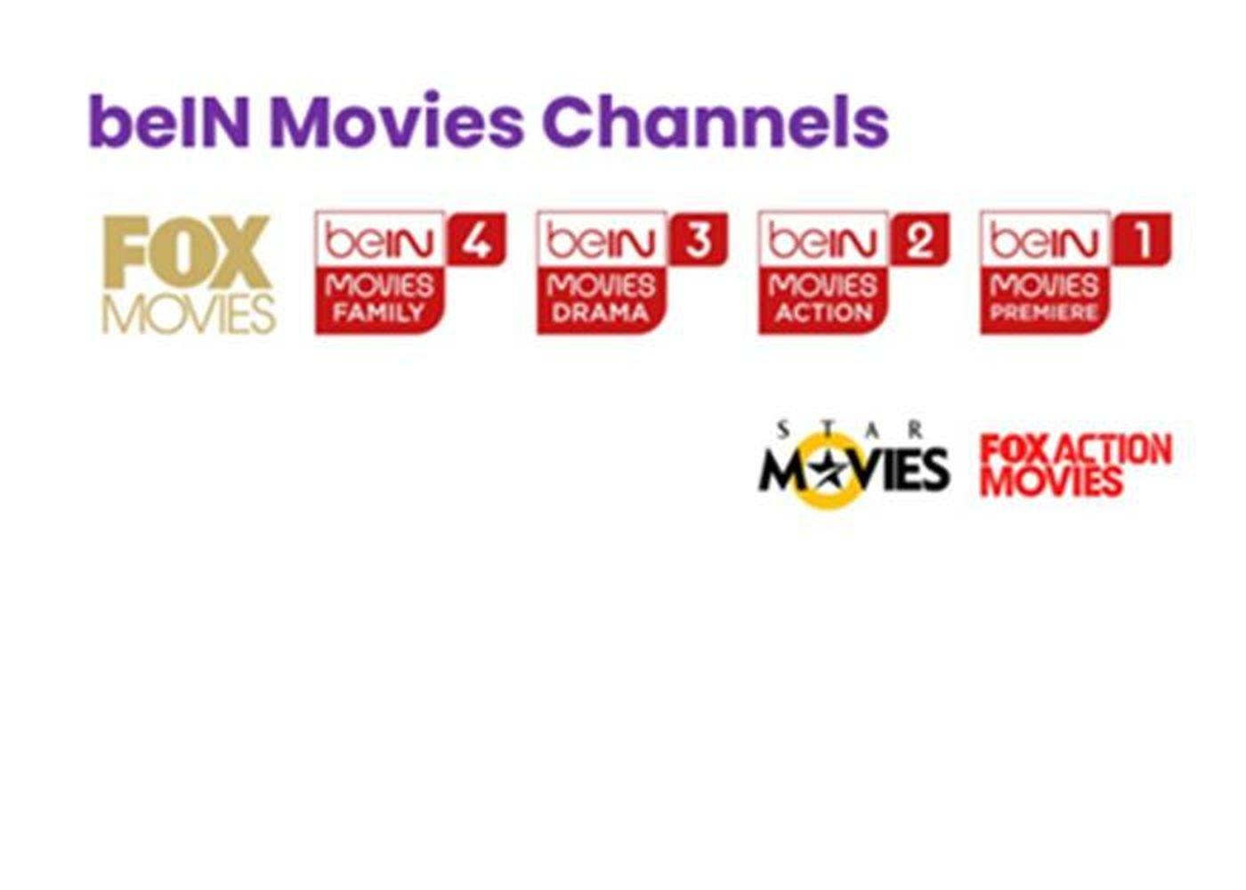 TOGETHER Package 6 Months  + beIN Full HD PVR PLUS Receiver