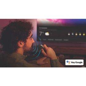 Google Assistant. Control the TV with your voice.