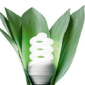 Eco Friendly