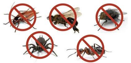 Made For A Number Of Insects