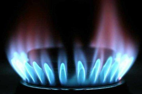 Gas Fueled Cooker