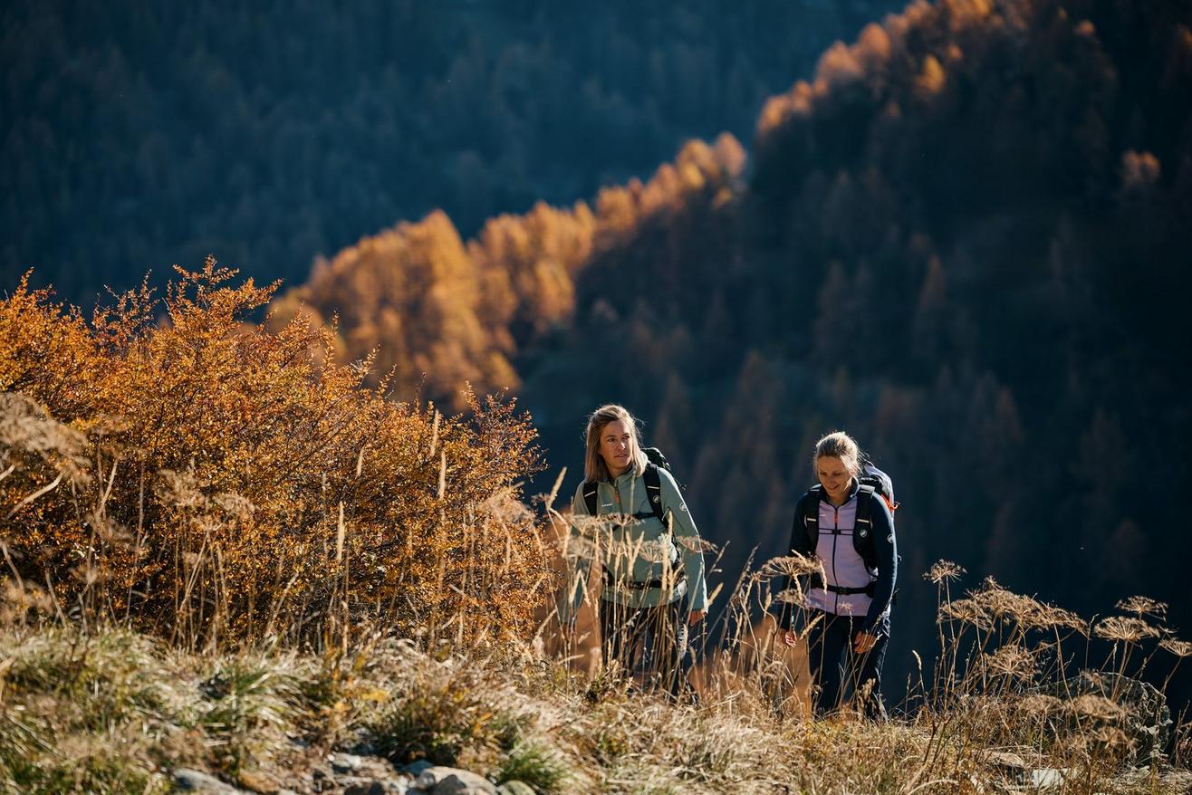 Hike Summer Extended