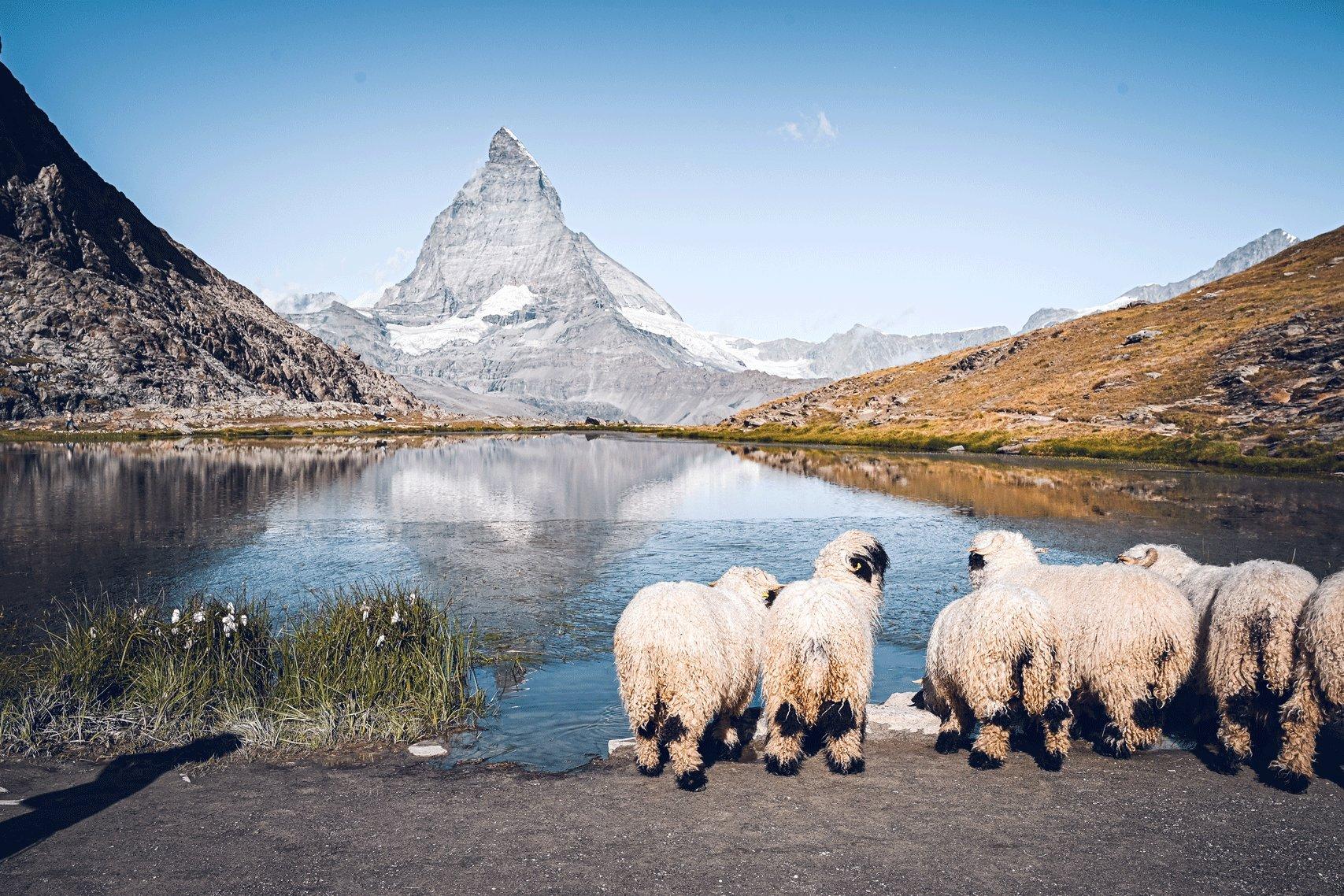125 Jahre Gornergrat Bahn mit vielen Angeboten