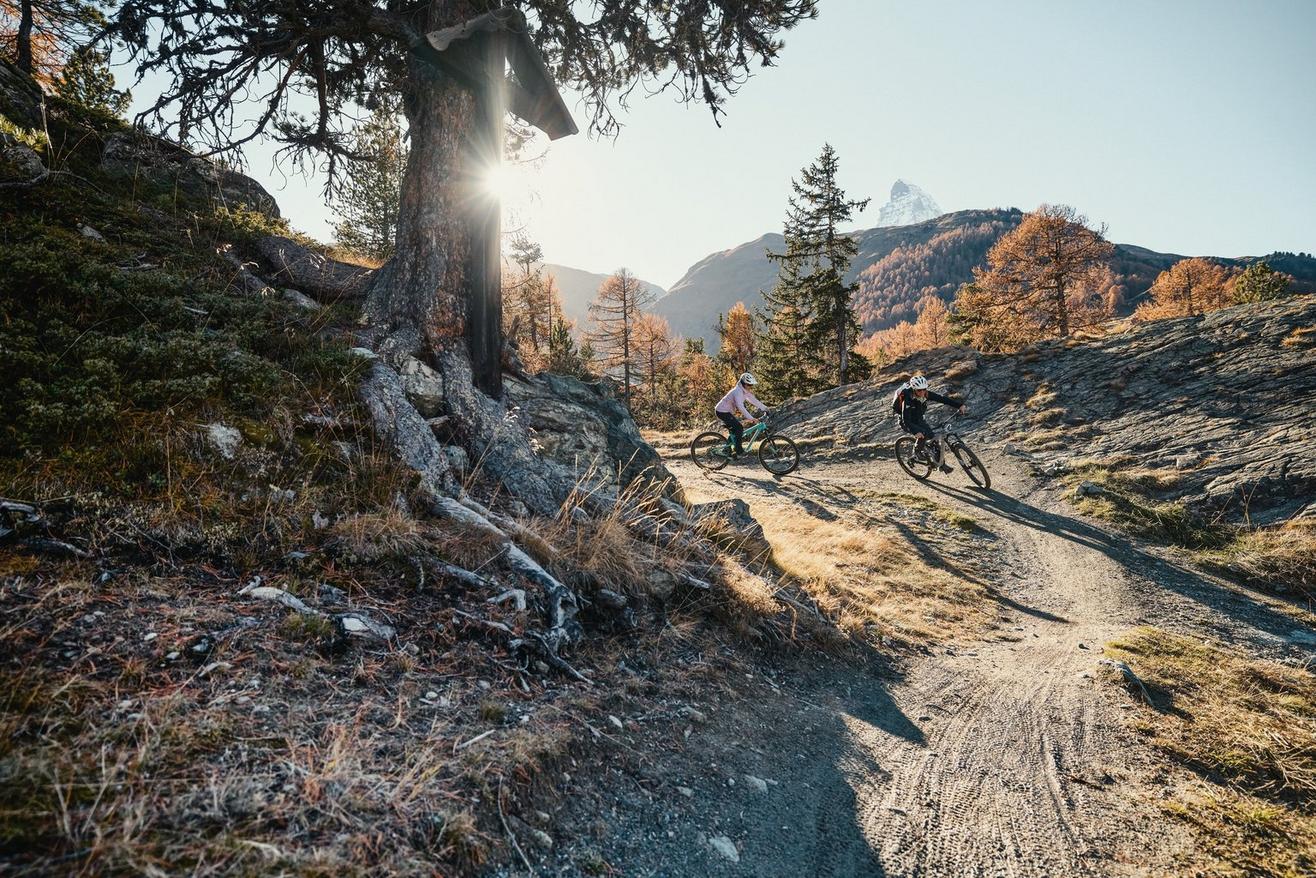 Mountain bike