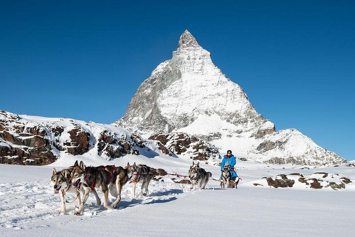 Promenades en traineau tiré par des huskys au pied du Cervin