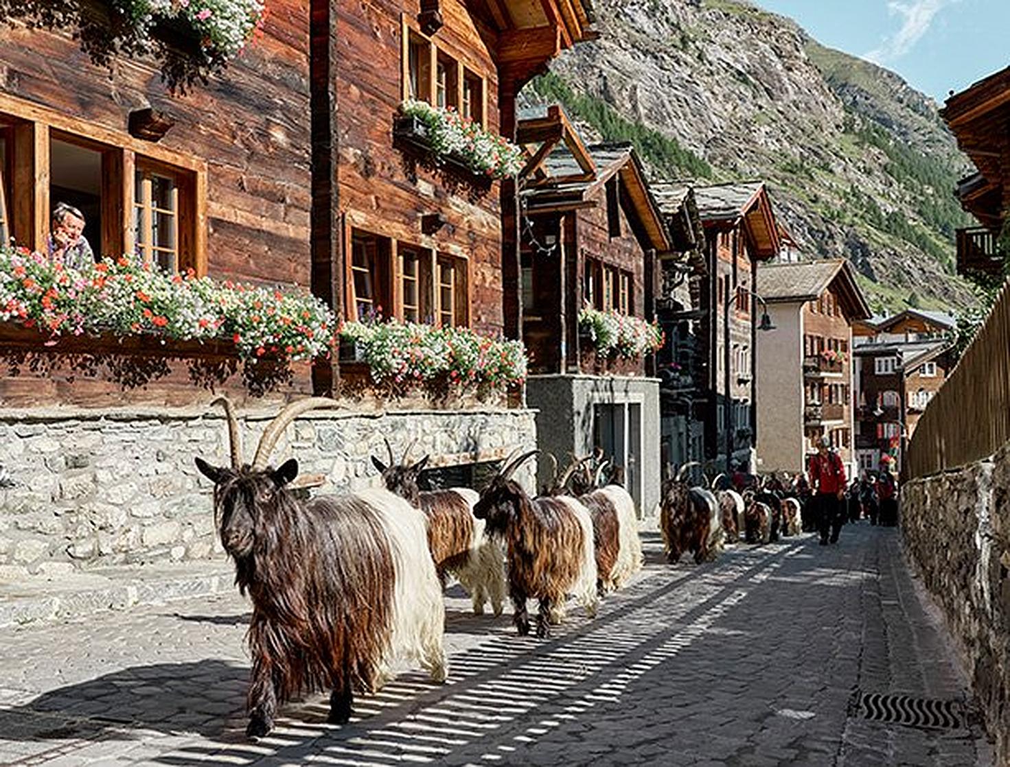 Village Map Zermatt