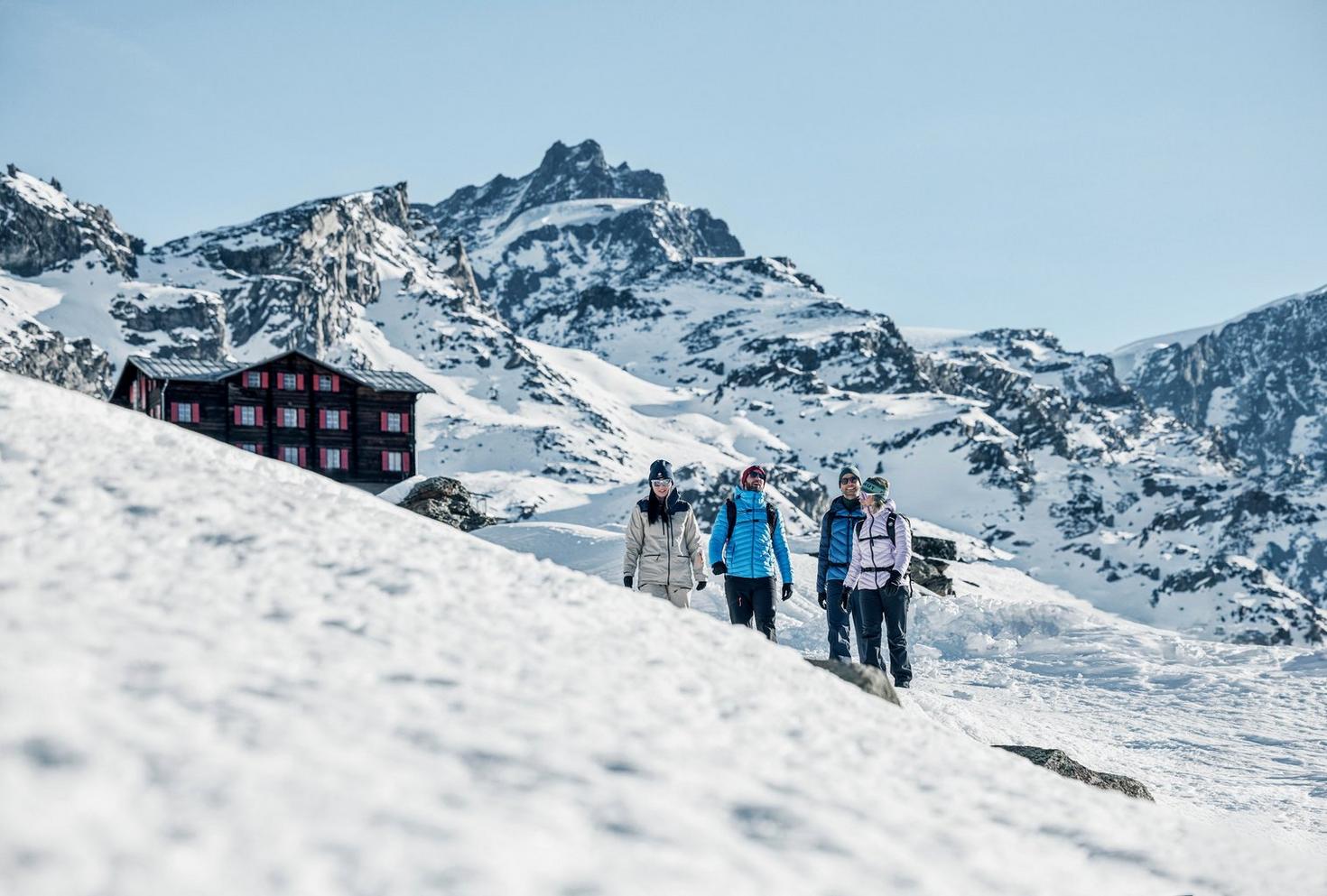 Randonnées hivernales & circuits en raquettes ❄️