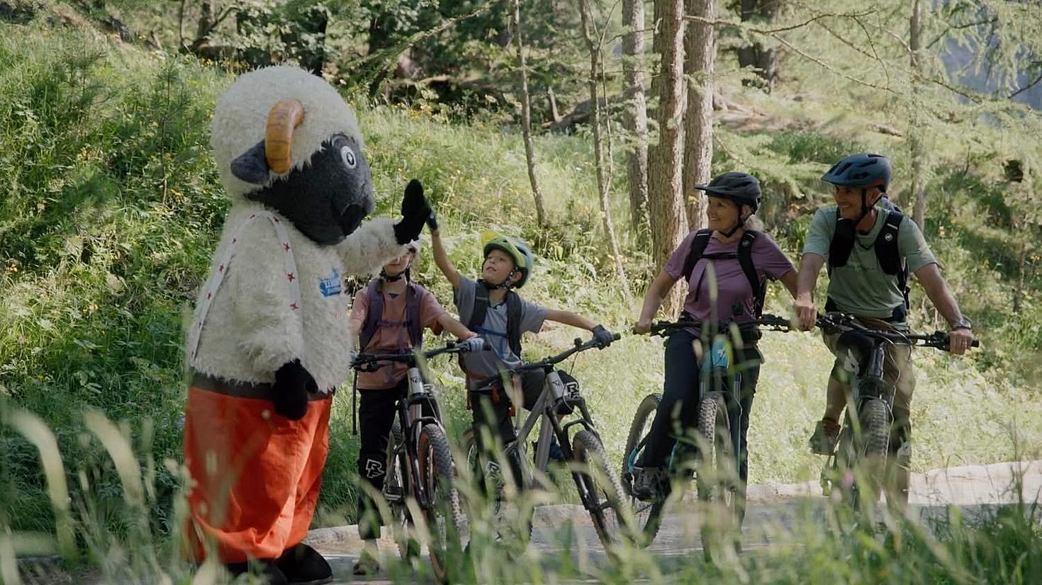 Lerne Wolli und seine Abenteuer kennen 