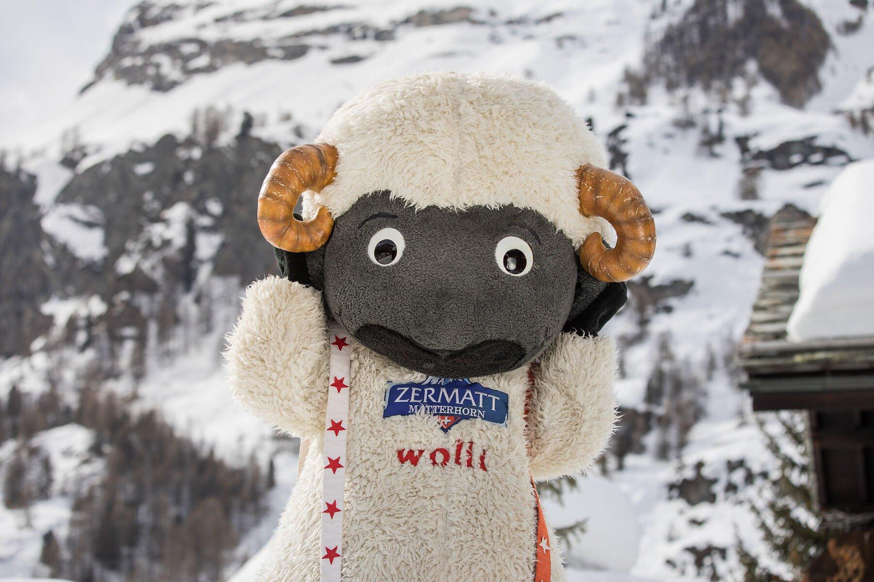 Wolli