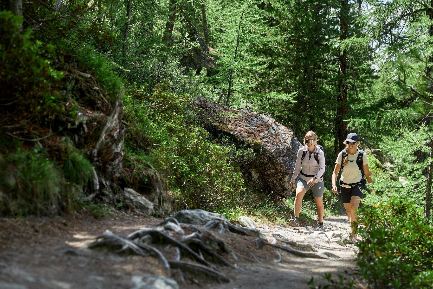 Hiking & mountaineering