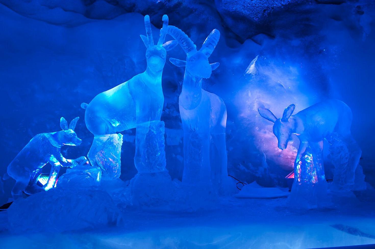 Erlebe den Magischen Gletscher-Palast