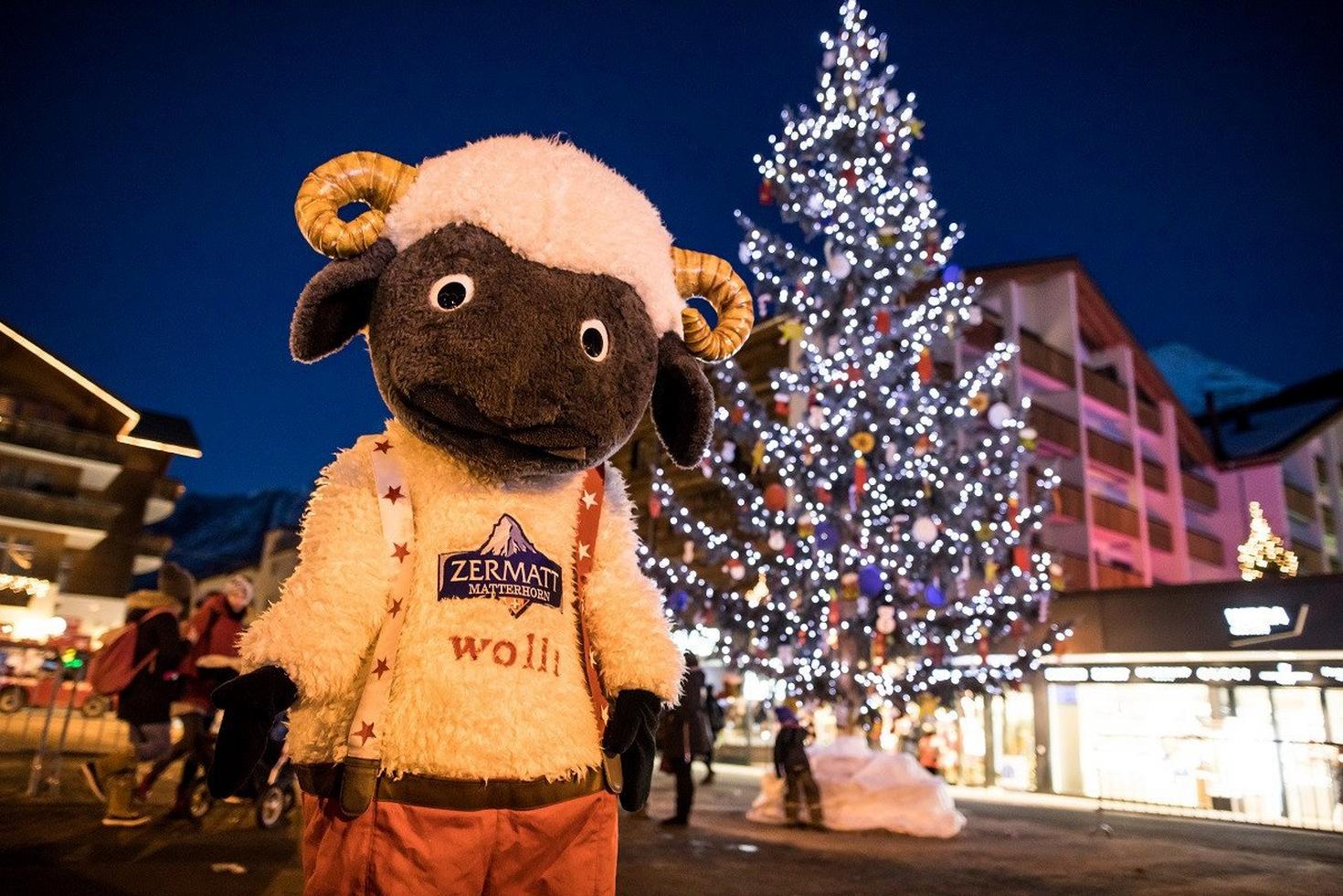 Wolli’s Winter Magic – Christmas Tree Lighting 🎄