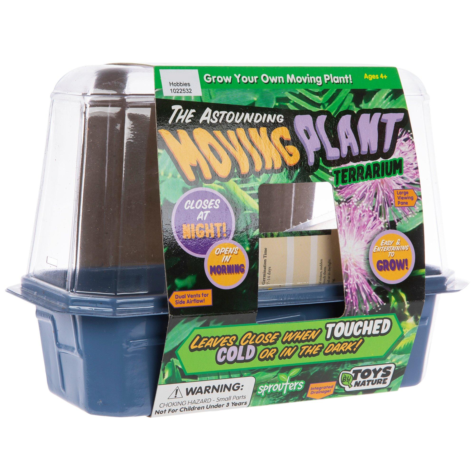 Moving Plant Terrarium Kit Hobby Lobby 1022532