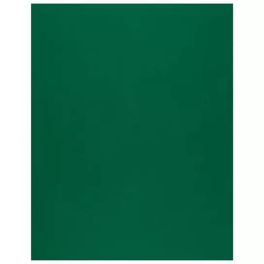 Canson Colorline Heavyweight Paper Sheets Moss Green 300 GSM 19 in. x 25 in.