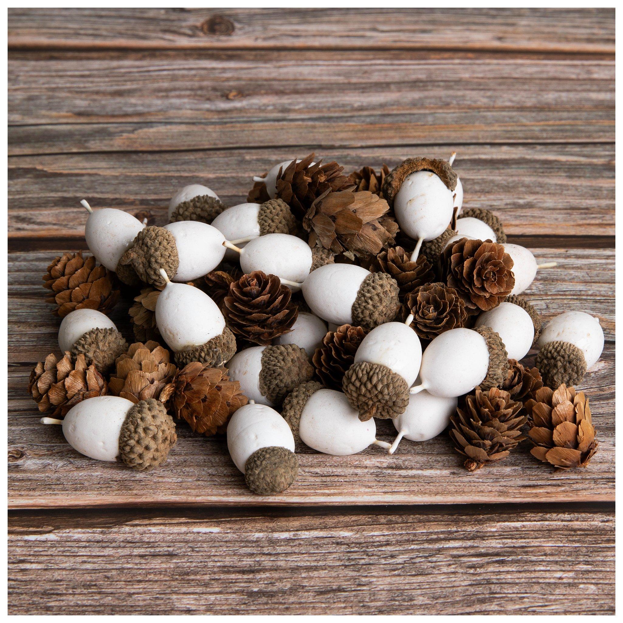 Acorns & Pinecones Filler Hobby Lobby 105305768