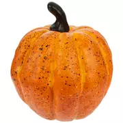 Orange Speckled Pumpkin