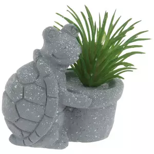Turtle With Potted Succulent