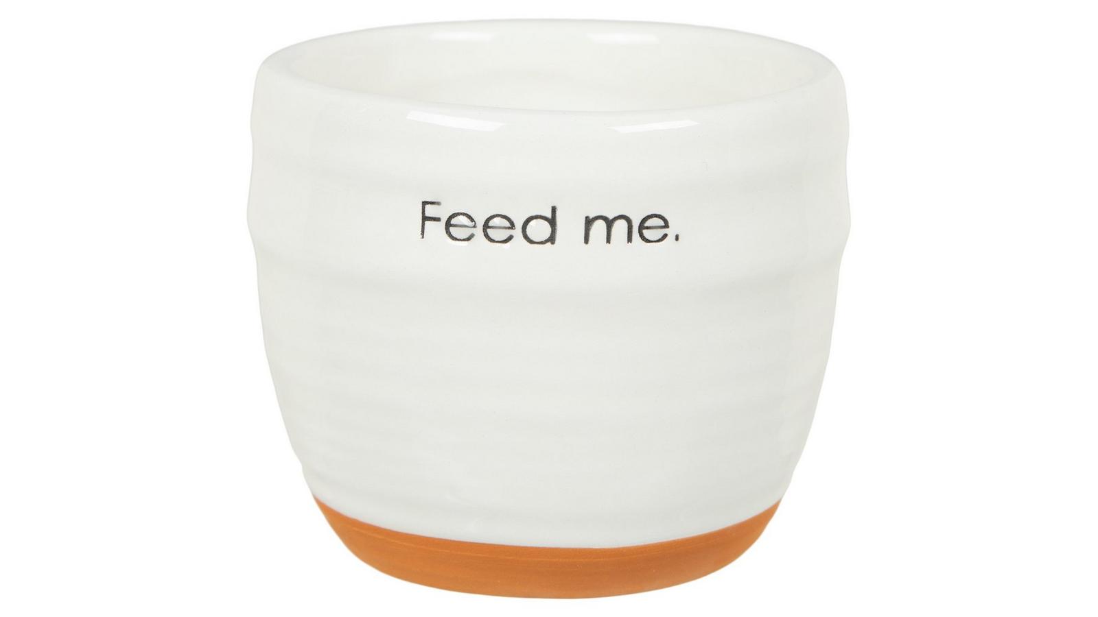Feed Me Ceramic Flower Pot | Hobby Lobby | 106021018