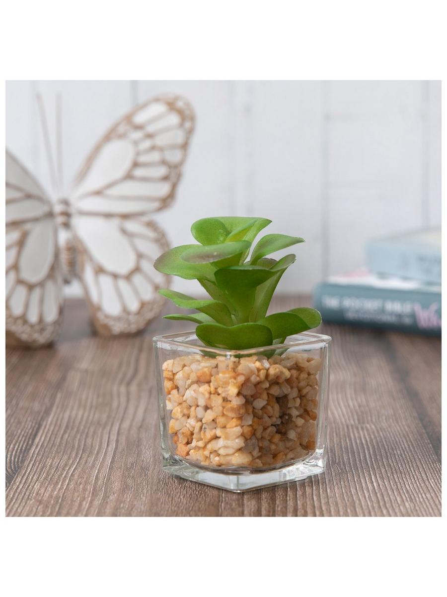 Green & Purple Succulent In Glass Pot | Hobby Lobby | 106304646