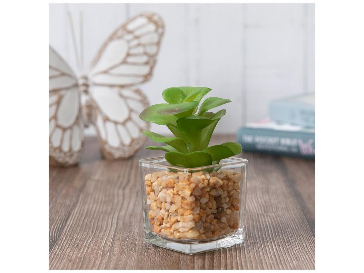 Green & Purple Succulent In Glass Pot | Hobby Lobby | 106304646