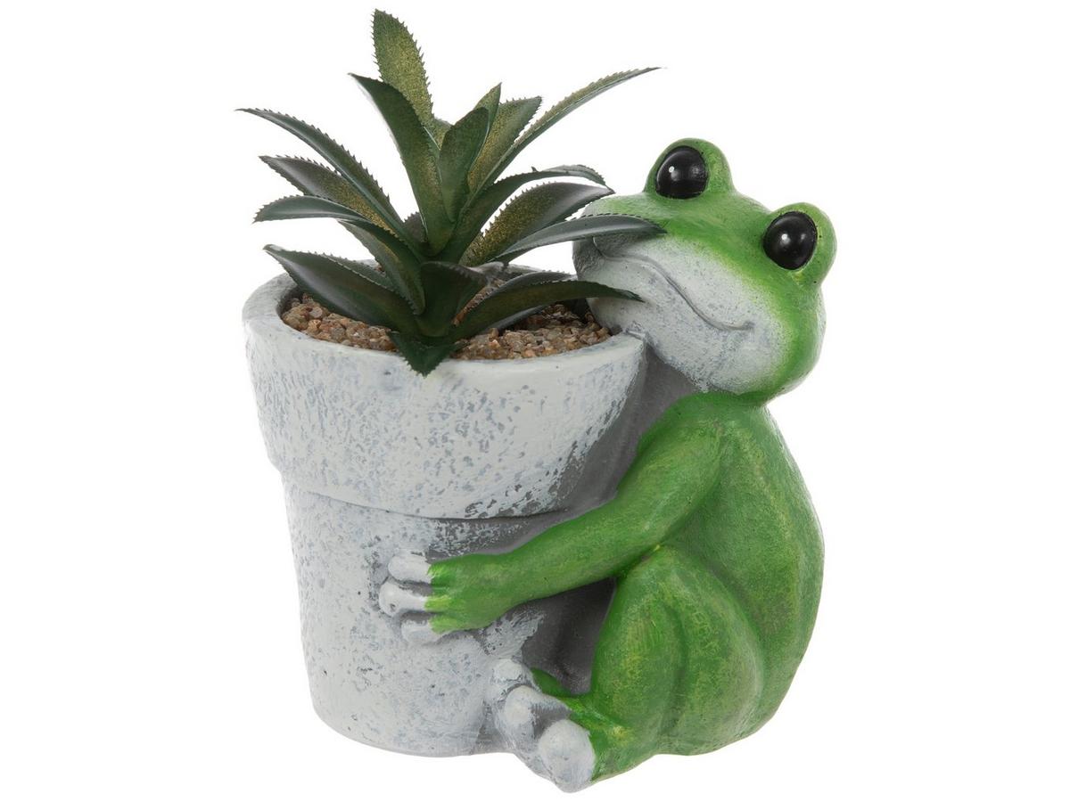 置物 8labo Haworthia Succulent In Frog Pot | Hobby Lobby | 106387138