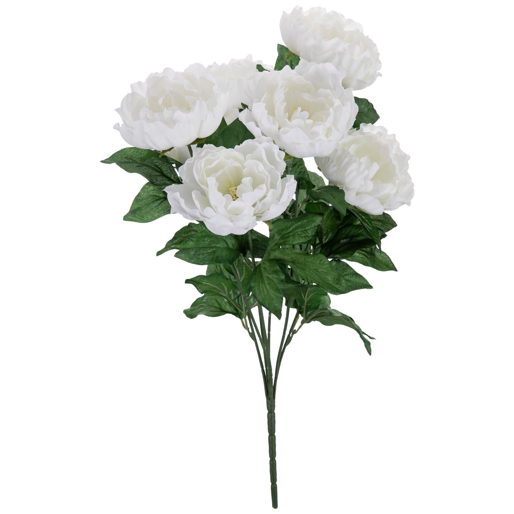 Peony Bush Hobby Lobby 1080068