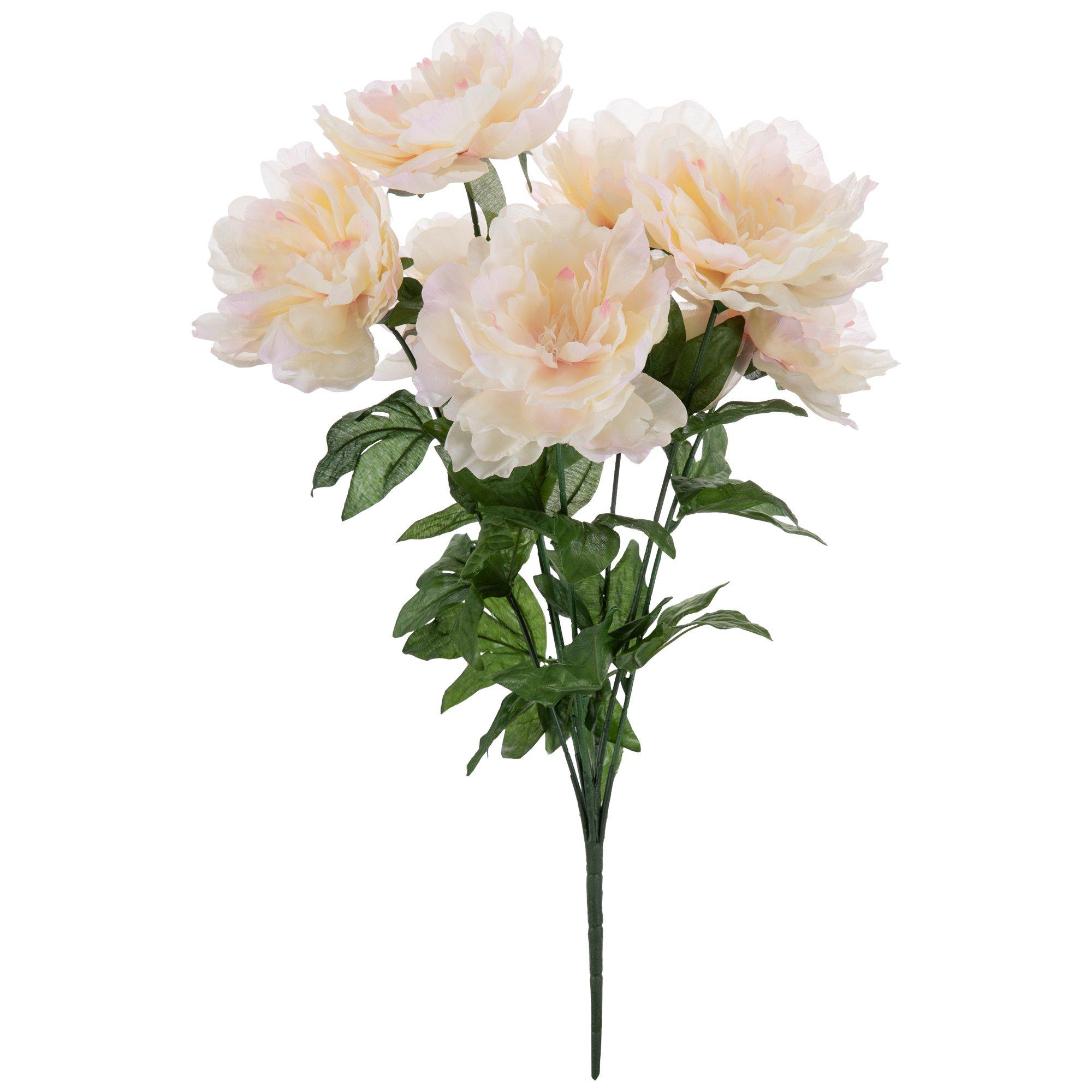 Peony Bush Hobby Lobby 1080118