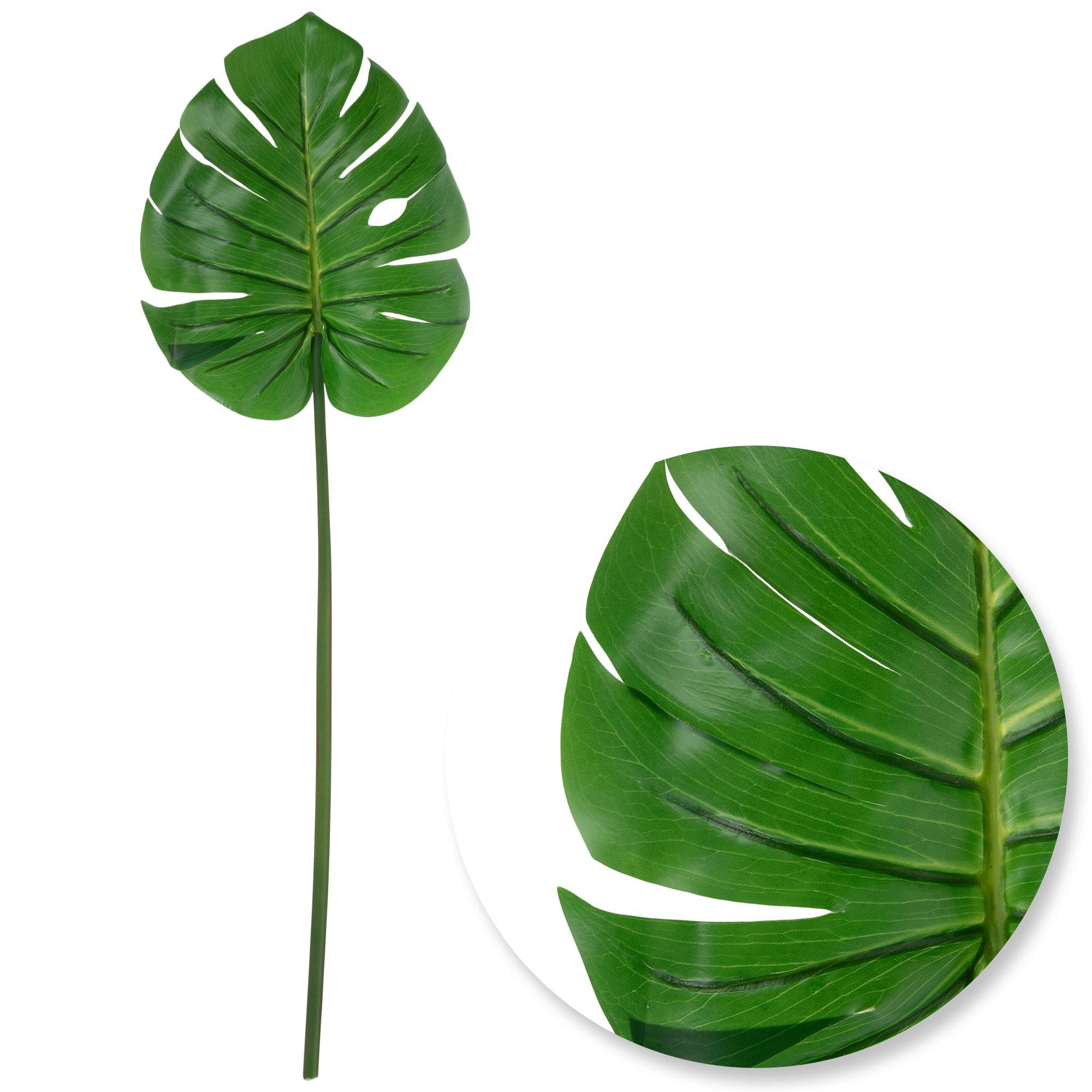 Monstera Leaf Stem view 1