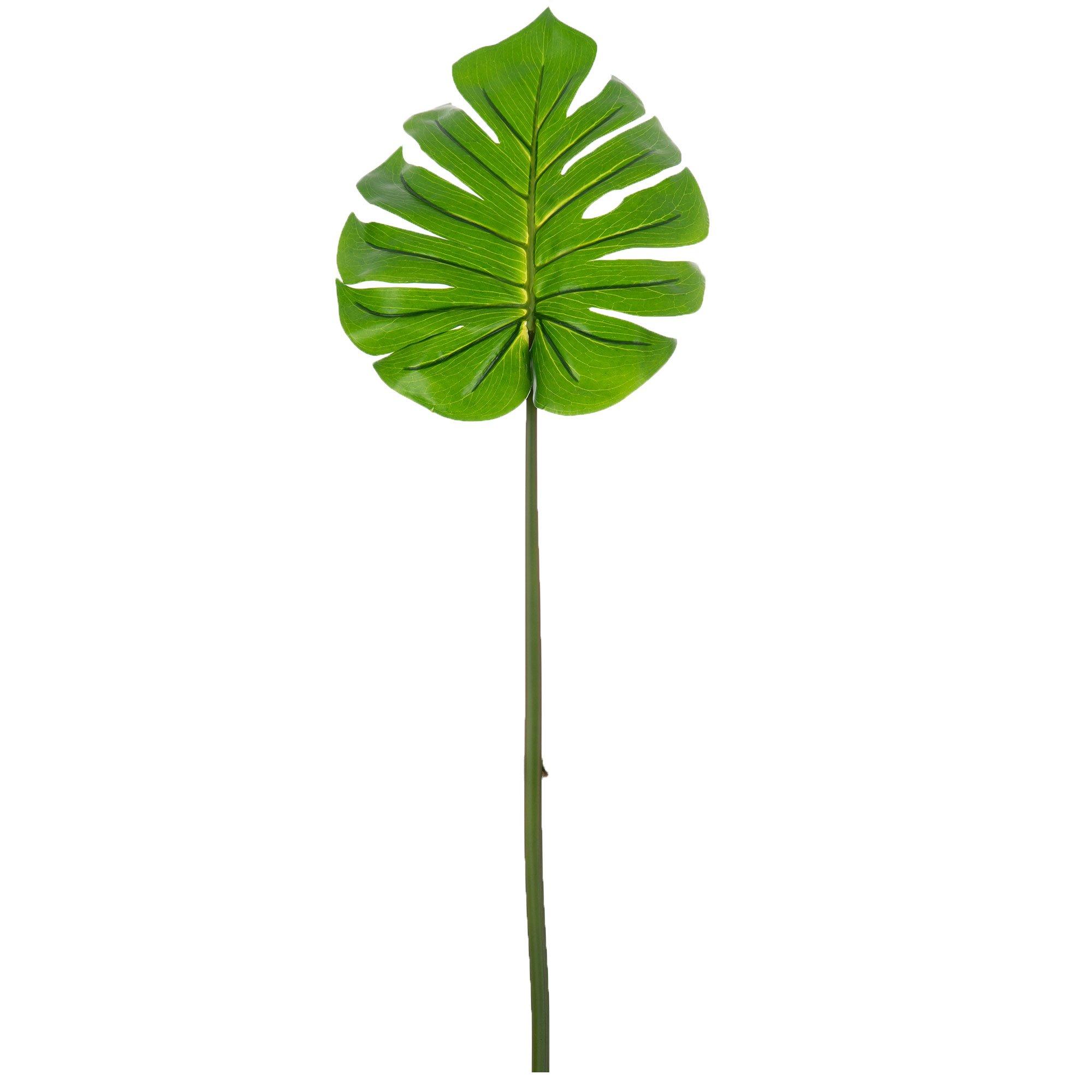 Selected Product Image