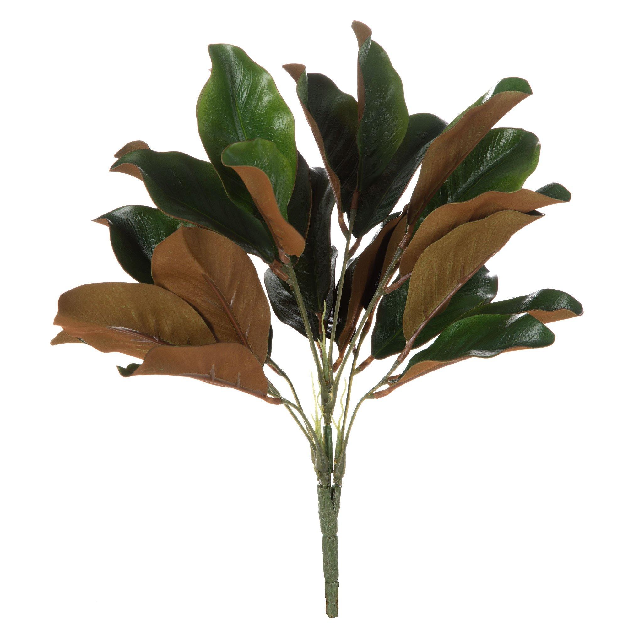 Magnolia Leaf Bush Hobby Lobby 1082346