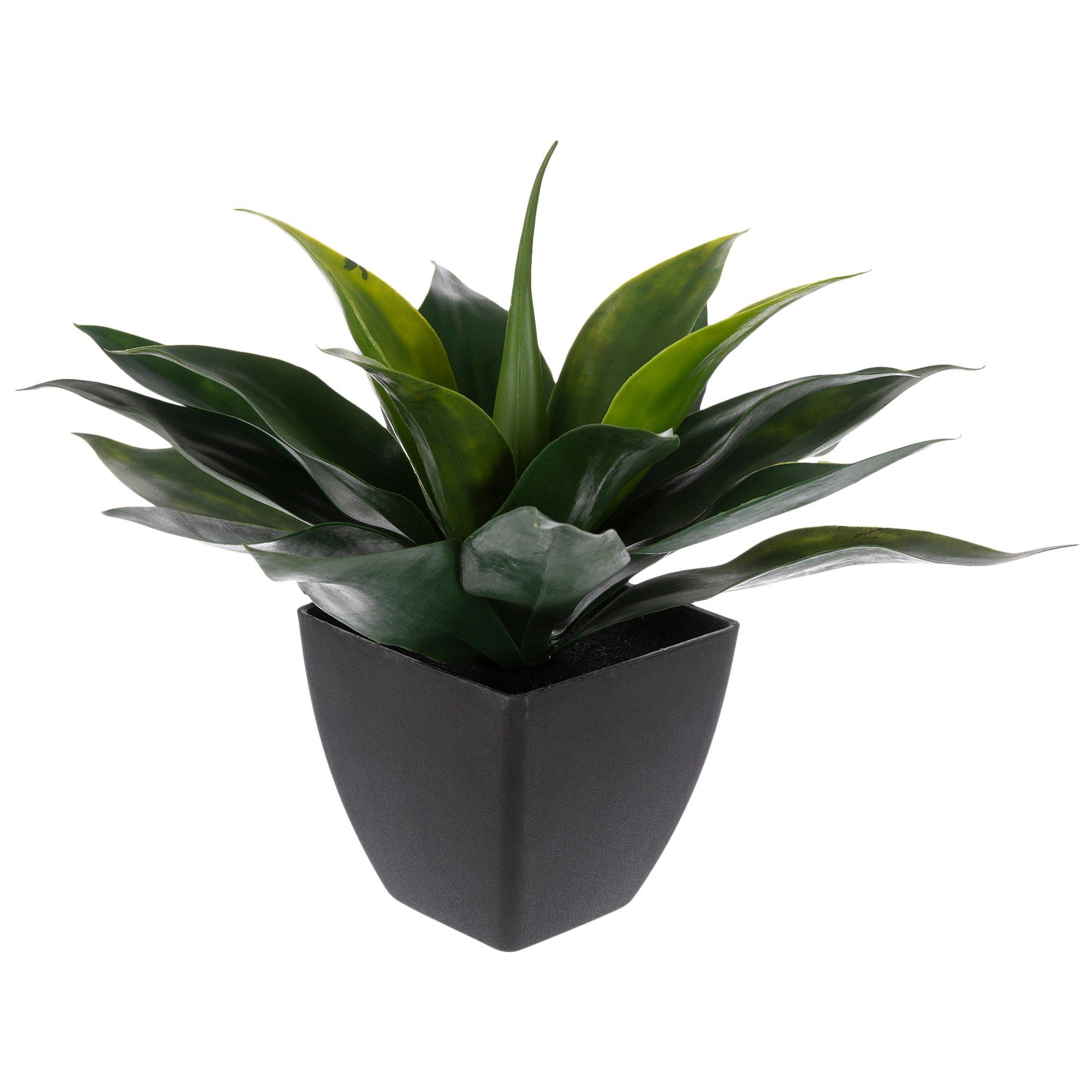 Agave In Black Squared Pot | Hobby Lobby | 1082411